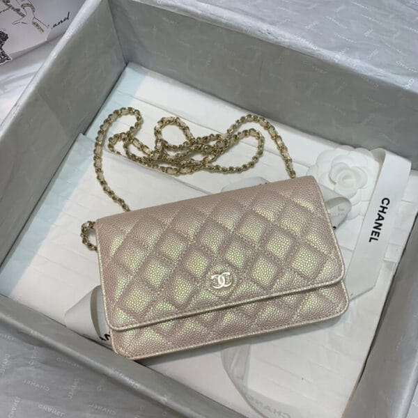 CHANEL Wallet On Chain Beige - Image 8