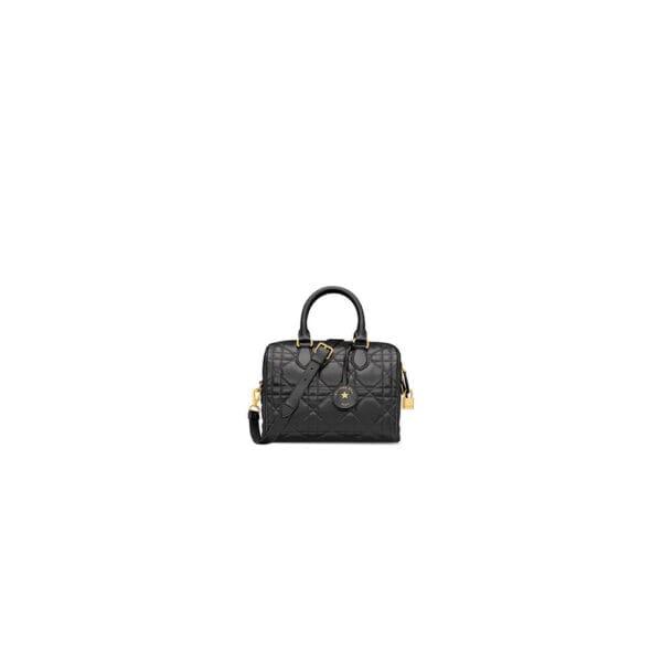 Dior Groove 25 Bag black