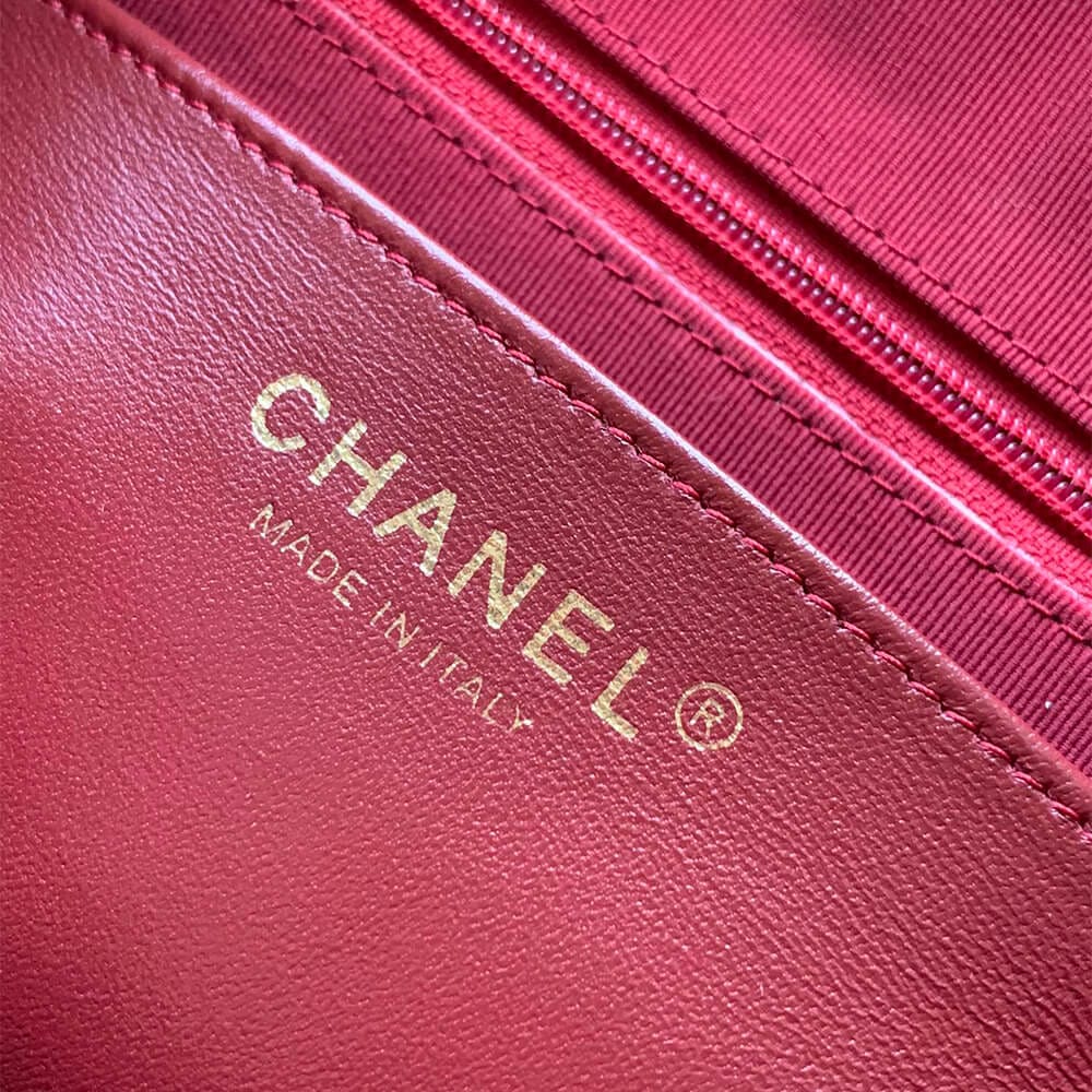 CHANEL large Camera Case Khaki - Image 7